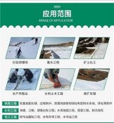 <b>一种遇水可再分离的憎水性的乙烯/月桂酸乙烯酯</b>